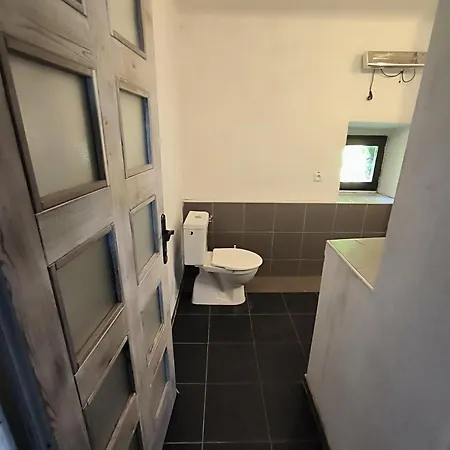 U Horaku Apartment *